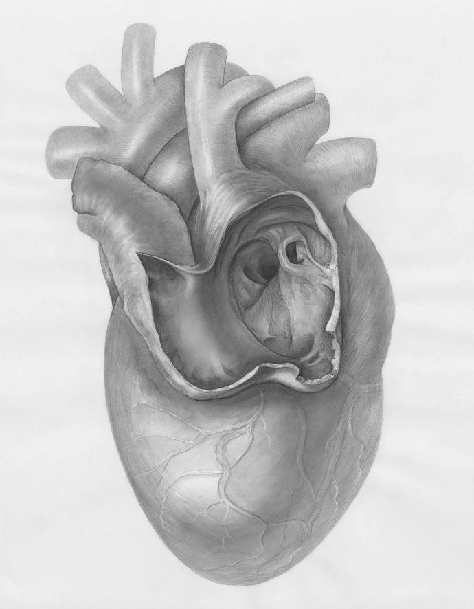 Revalidation Cardio-respiratoire